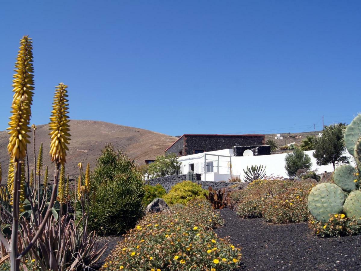 Castillo Lanzarote Villa Winni - Luxury Villa - Pet Friendly With Heated Pool La Asomada  Екстер'єр фото