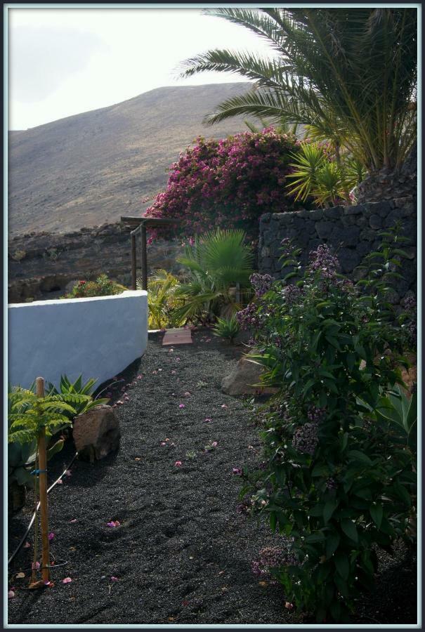 Castillo Lanzarote Villa Winni - Luxury Villa - Pet Friendly With Heated Pool La Asomada  Екстер'єр фото