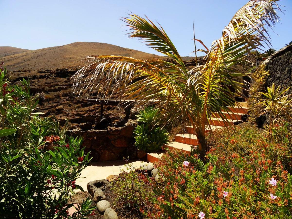 Castillo Lanzarote Villa Winni - Luxury Villa - Pet Friendly With Heated Pool La Asomada  Екстер'єр фото